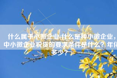 什么属于小微企业(什么是种小微企业，中小微企业税贷的要求条件是什么？年化多少？)