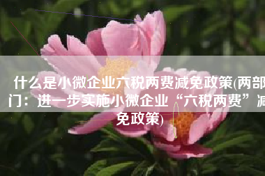 什么是小微企业六税两费减免政策(两部门：进一步实施小微企业“六税两费”减免政策)