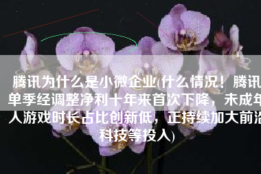 腾讯为什么是小微企业(什么情况！腾讯单季经调整净利十年来首次下降，未成年人游戏时长占比创新低，正持续加大前沿科技等投入)