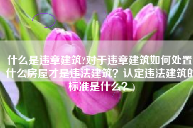 什么是违章建筑?对于违章建筑如何处置(什么房屋才是违法建筑？认定违法建筑的标准是什么？)