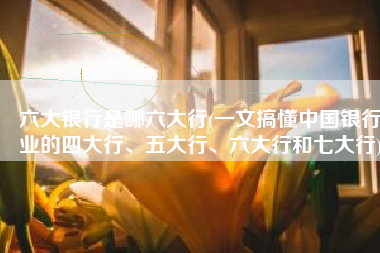 六大银行是哪六大行(一文搞懂中国银行业的四大行、五大行、六大行和七大行)