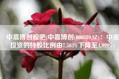 中嘉博创股吧(中嘉博创(000889.SZ)：中兆投资的持股比例由7.503%下降至4.999%)