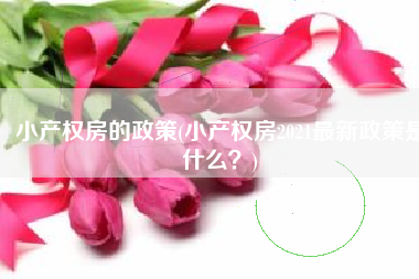 小产权房的政策(小产权房2021最新政策是什么？)