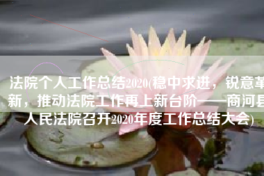 法院个人工作总结2020(稳中求进，锐意革新，推动法院工作再上新台阶——商河县人民法院召开2020年度工作总结大会)