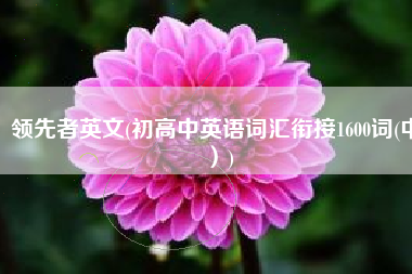领先者英文(初高中英语词汇衔接1600词(中）)