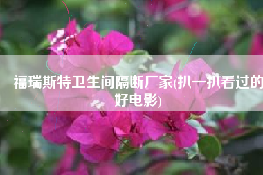 福瑞斯特卫生间隔断厂家(扒一扒看过的好电影)