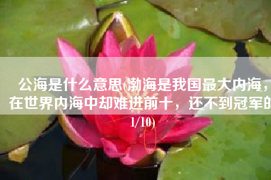 公海是什么意思(渤海是我国最大内海，在世界内海中却难进前十，还不到冠军的1/10)