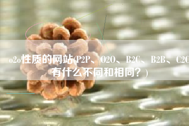 o2o性质的网站(P2P、O2O、B2C、B2B、C2C有什么不同和相同？)