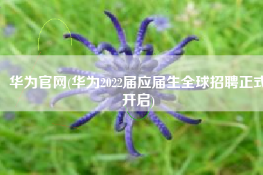 华为官网(华为2022届应届生全球招聘正式开启)