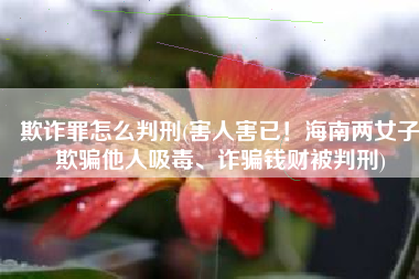 欺诈罪怎么判刑(害人害已！海南两女子欺骗他人吸毒、诈骗钱财被判刑)