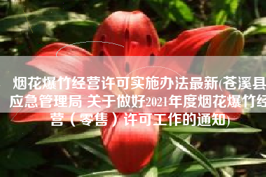 烟花爆竹经营许可实施办法最新(苍溪县应急管理局 关于做好2021年度烟花爆竹经营（零售）许可工作的通知)