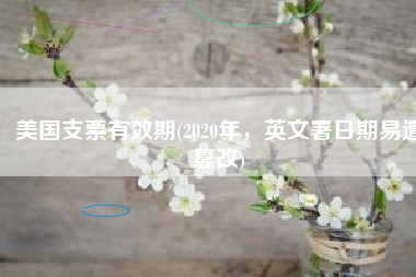 美国支票有效期(2020年，英文署日期易遭篡改)