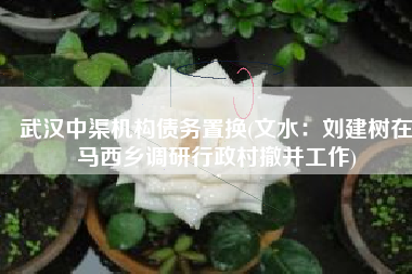 武汉中渠机构债务置换(文水：刘建树在马西乡调研行政村撤并工作)