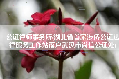 公证律师事务所(湖北省首家涉侨公证法律服务工作站落户武汉市尚信公证处)