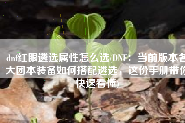 dnf红眼遴选属性怎么选(DNF：当前版本各大团本装备如何搭配遴选，这份手册带你快速看懂)