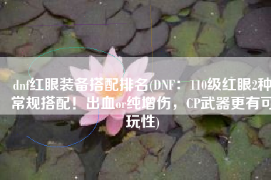 dnf红眼装备搭配排名(DNF：110级红眼2种常规搭配！出血or纯增伤，CP武器更有可玩性)