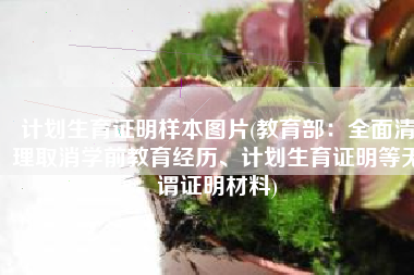 计划生育证明样本图片(教育部：全面清理取消学前教育经历、计划生育证明等无谓证明材料)