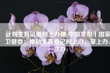 计划生育证明网上办理(中国发布丨国家卫健委：推动生育登记网上办、掌上办、一次办)