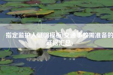 指定监护人证明模板(交通事故需准备的证据汇总)