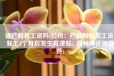 待产假有工资吗(公司：产假期停发工资(复工4个月后发生育津贴), 且社保还需自费)