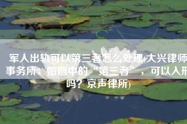 军人出轨可以第三者怎么处理(大兴律师事务所：婚姻中的“第三者”，可以入刑吗？京声律所)