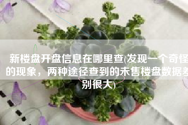 新楼盘开盘信息在哪里查(发现一个奇怪的现象，两种途径查到的未售楼盘数据差别很大)