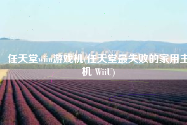任天堂wiiu游戏机(任天堂最失败的家用主机 WiiU)