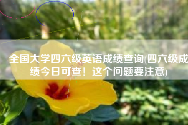 全国大学四六级英语成绩查询(四六级成绩今日可查！这个问题要注意)