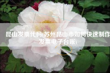 昆山发票代码(苏州昆山市如何快速制作发票电子台账)