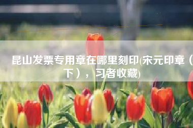 昆山发票专用章在哪里刻印(宋元印章（下），习者收藏)