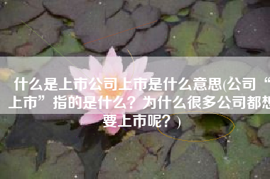 什么是上市公司上市是什么意思(公司“上市”指的是什么？为什么很多公司都想要上市呢？)