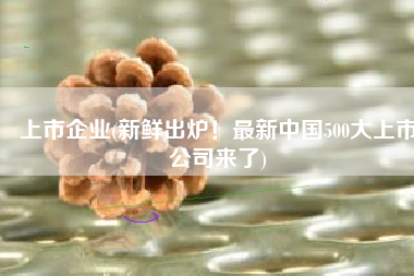 上市企业(新鲜出炉！最新中国500大上市公司来了)