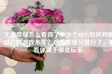 王者荣耀怎么看得了多少个MVP(如何判断自己的游戏水平？对照表现分就行了，看看你属于哪类玩家)