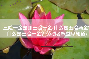 三险一金是哪三险一金(什么是五险两金？什么是三险一金？劳动者权益早知道)