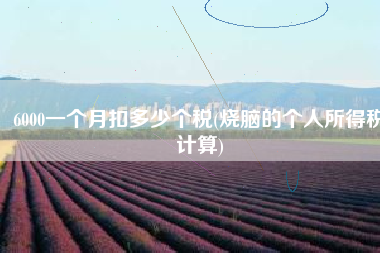 6000一个月扣多少个税(烧脑的个人所得税计算)