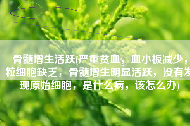 骨髓增生活跃(严重贫血，血小板减少，粒细胞缺乏，骨髓增生明显活跃，没有发现原始细胞，是什么病，该怎么办)