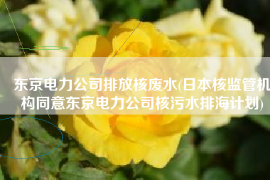 东京电力公司排放核废水(日本核监管机构同意东京电力公司核污水排海计划)