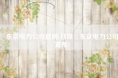 东京电力公司官网(日媒：东京电力公司宣布)