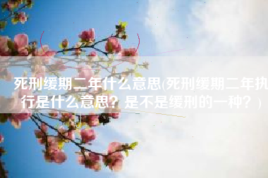 死刑缓期二年什么意思(死刑缓期二年执行是什么意思？是不是缓刑的一种？)