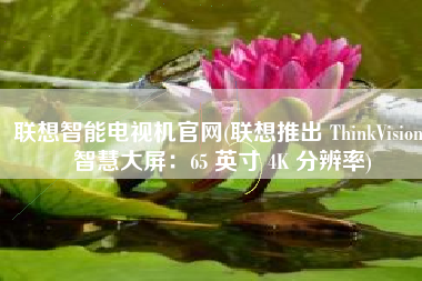 联想智能电视机官网(联想推出 ThinkVision 智慧大屏：65 英寸 4K 分辨率)