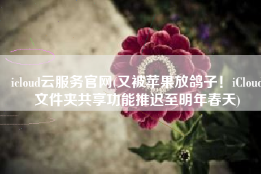 icloud云服务官网(又被苹果放鸽子！iCloud文件夹共享功能推迟至明年春天)