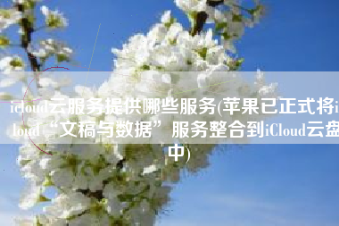 icloud云服务提供哪些服务(苹果已正式将iCloud“文稿与数据”服务整合到iCloud云盘中)