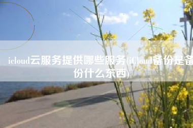 icloud云服务提供哪些服务(iCloud备份是备份什么东西)