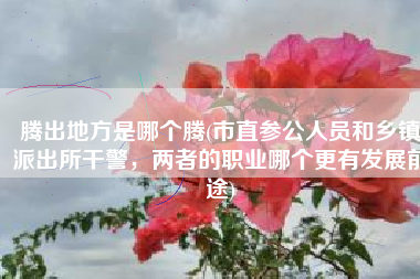 腾出地方是哪个腾(市直参公人员和乡镇派出所干警，两者的职业哪个更有发展前途)