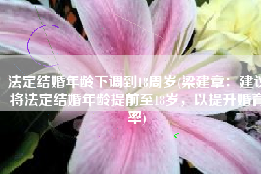 法定结婚年龄下调到18周岁(梁建章：建议将法定结婚年龄提前至18岁，以提升婚育率)