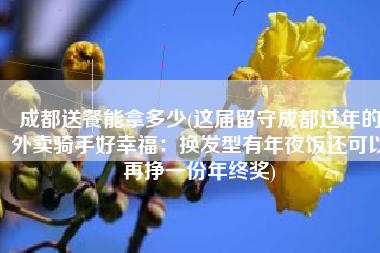 成都送餐能拿多少(这届留守成都过年的外卖骑手好幸福：换发型有年夜饭还可以再挣一份年终奖)