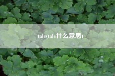 tale(tale什么意思)