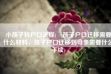 小孩子转户口流程(​孩子户口迁移需要什么材料，孩子户口迁移到母亲需要什么手续)