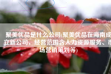 聚美优品是什么公司(聚美优品在海南成立新公司，经营范围含人力资源服务、市场营销策划等)