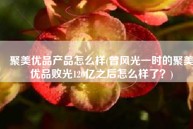 聚美优品产品怎么样(曾风光一时的聚美优品败光120亿之后怎么样了？)